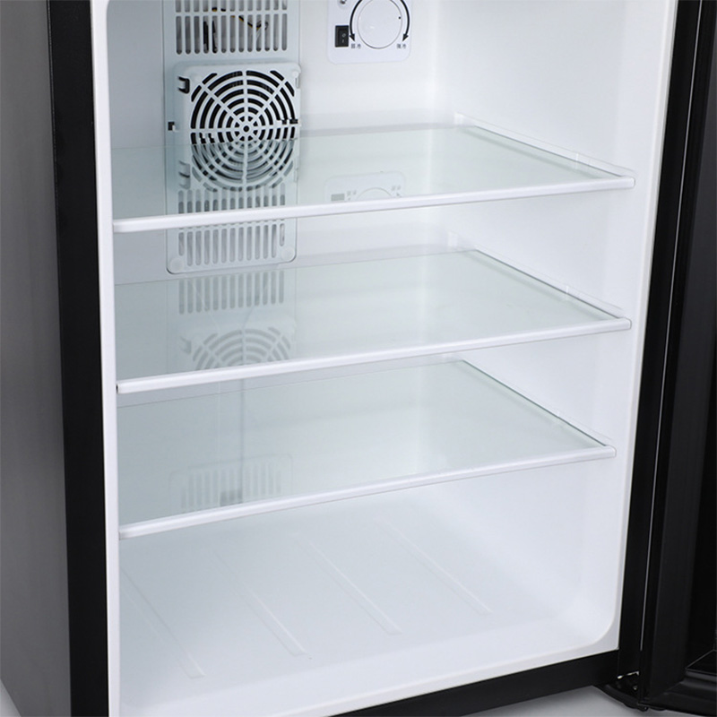 Mini lodówka chłodziarka 40L z – Wine Beer Fridge Small recenzja i cena