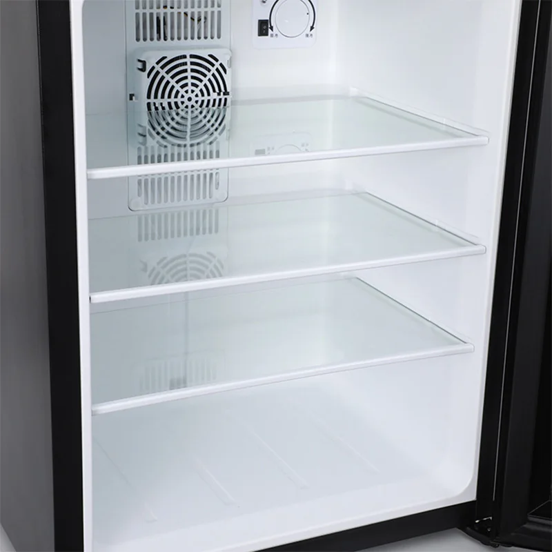 Mini lodówka chłodziarka 40L z – Wine Beer Fridge Small recenzja i cena