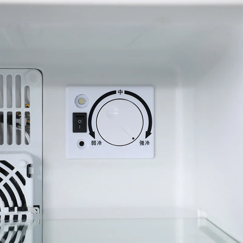 Mini lodówka chłodziarka 40L z – Wine Beer Fridge Small recenzja i cena